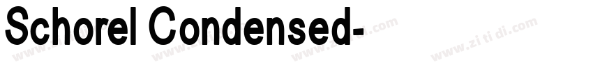 Schorel Condensed字体转换